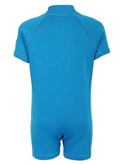 New Release -Surfboards Sales classic baby aqua back 2