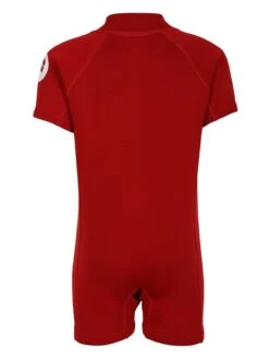 New Release -Surfboards Sales classic baby red back